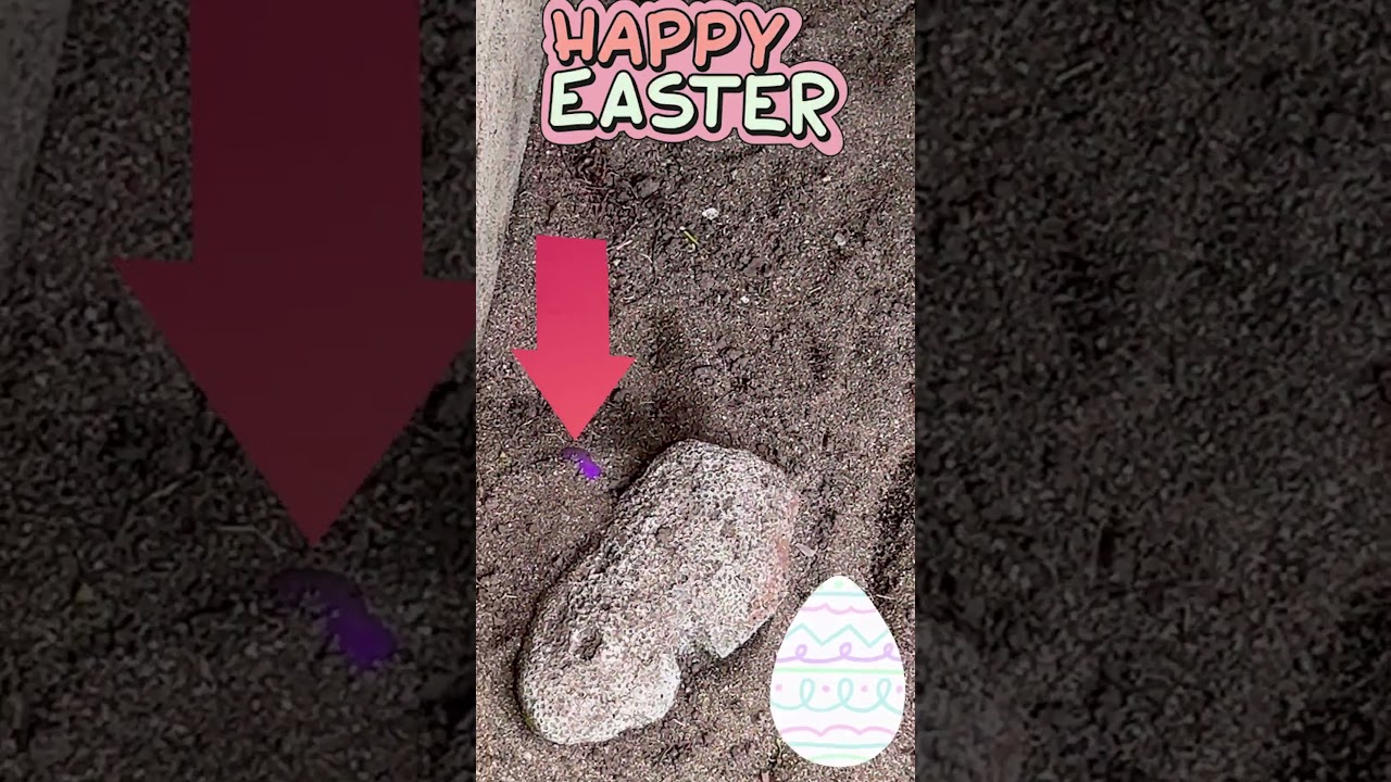 #easteregg hunt!