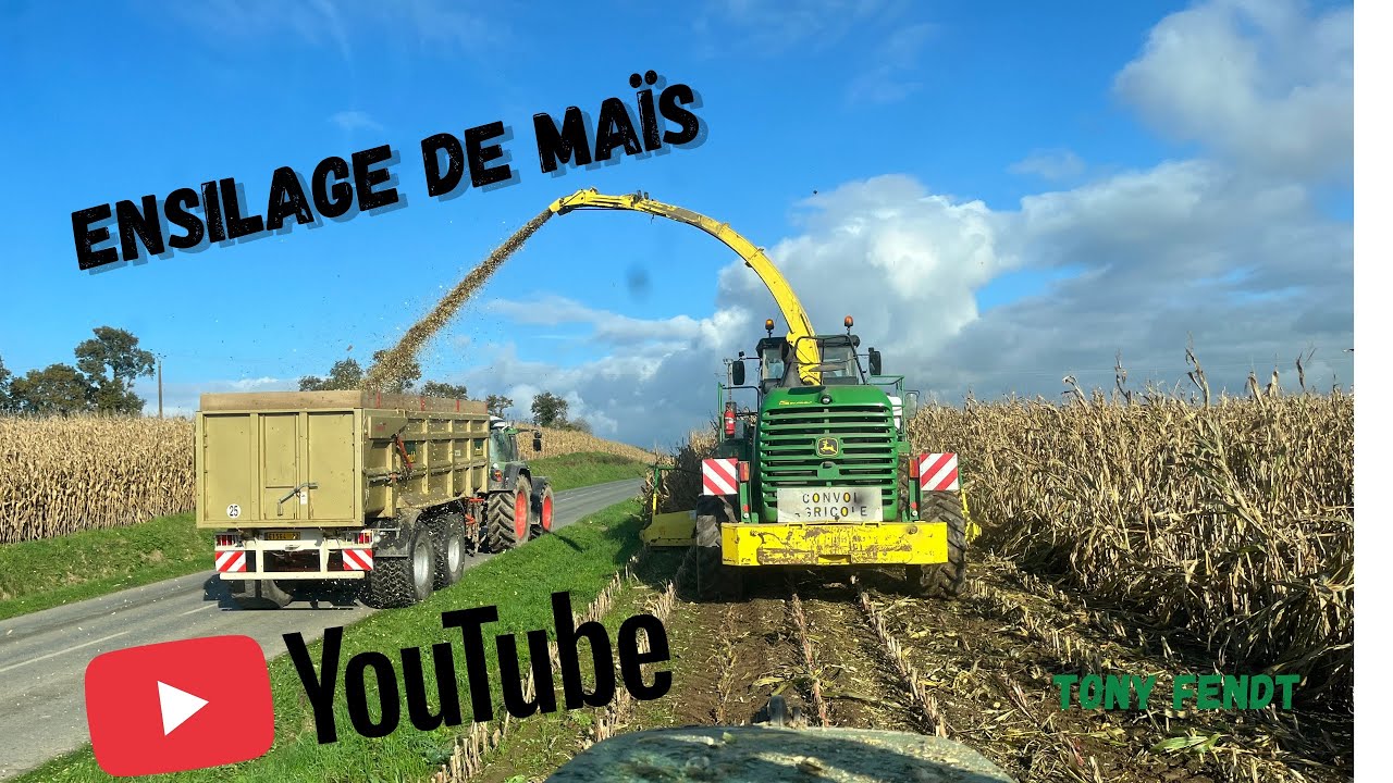 Ensilage de maïs  par Tony