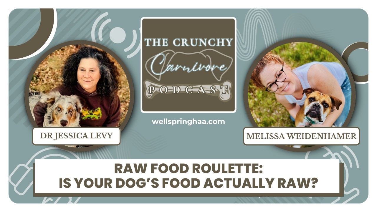19 Raw Food Roulette