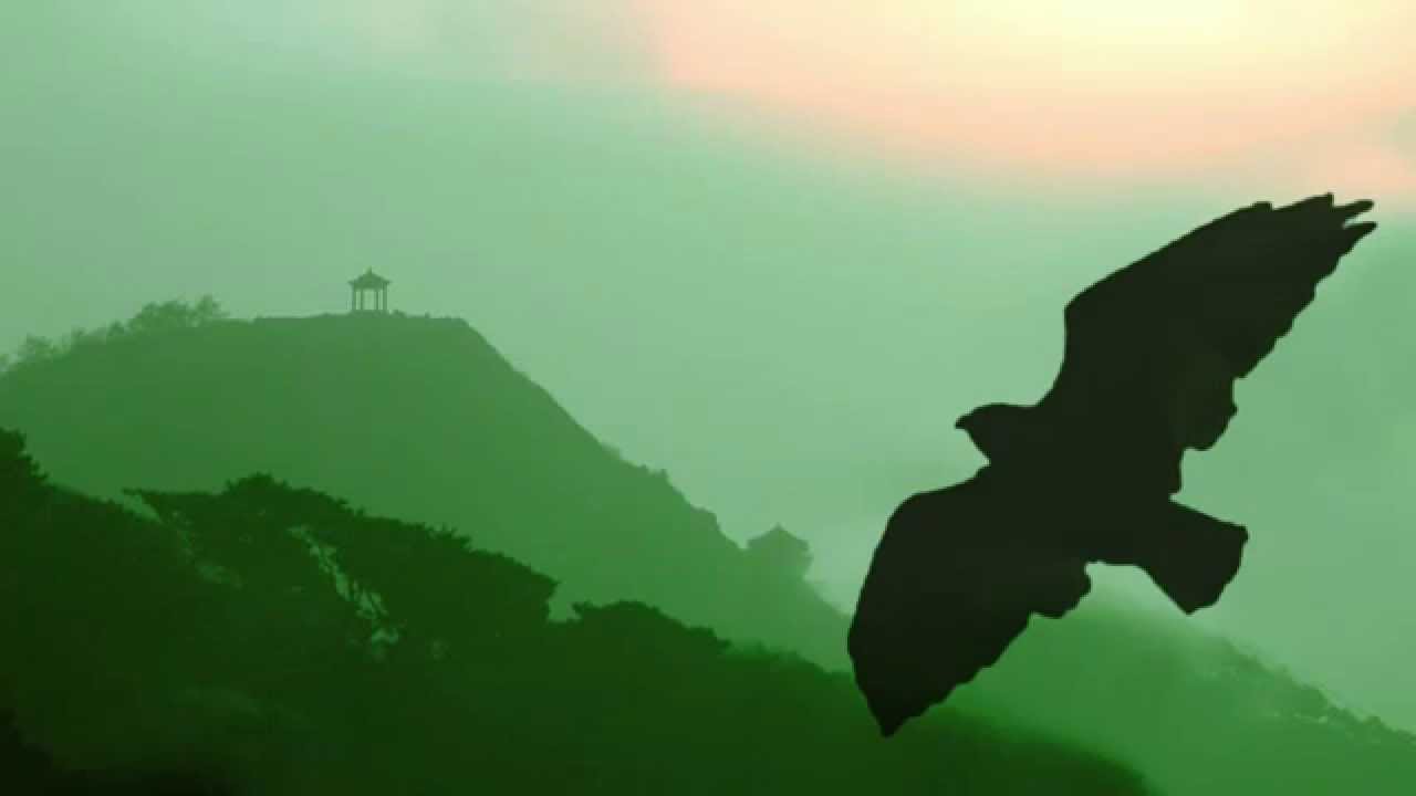 Pan Flute - One Moment in Time // Instrumental Worldhits