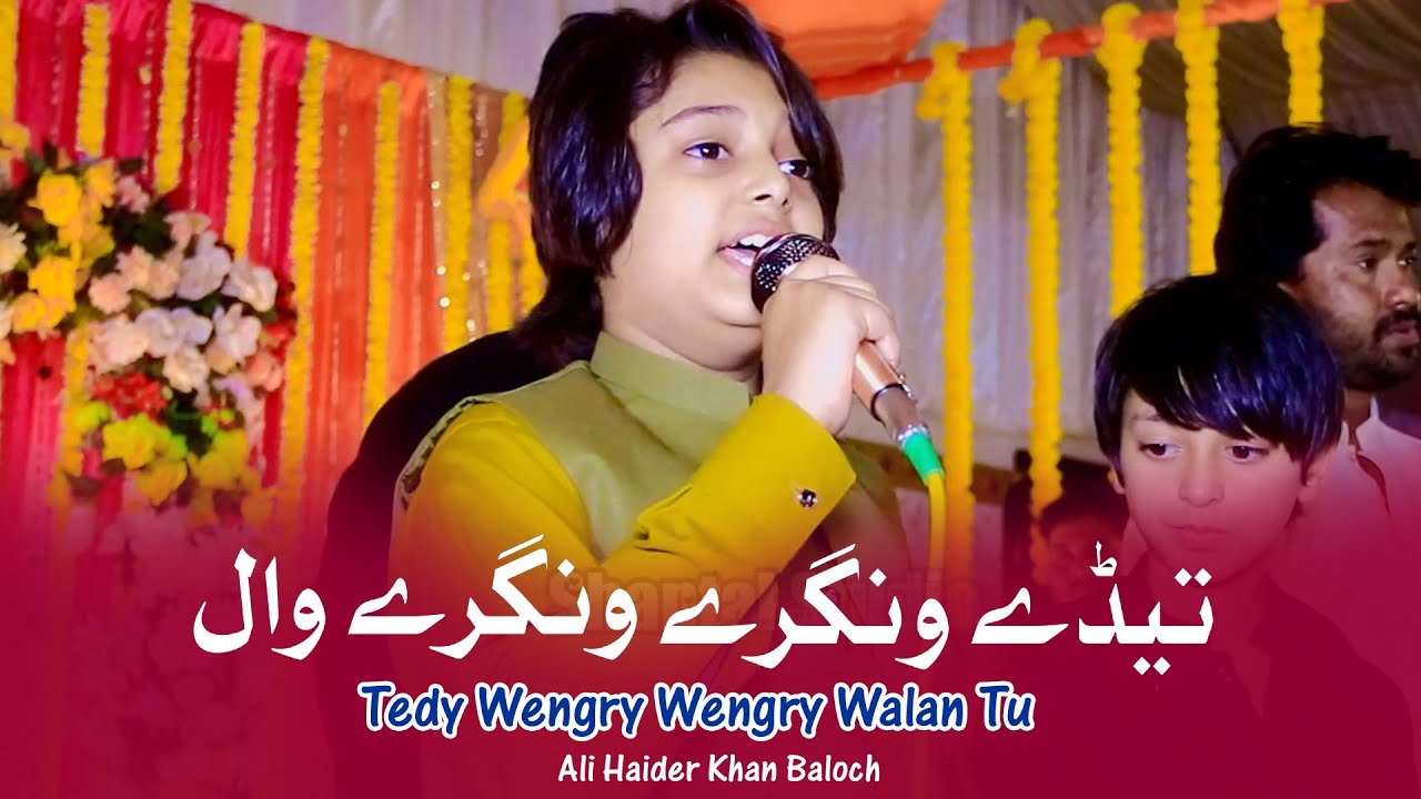 Tedy Wengry Wengry Walan Tu |  Ali Haider Khan Baloch | Ali Haider | New Song 2025