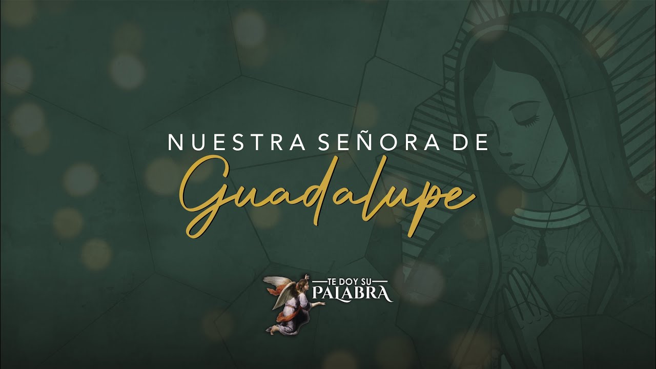 Nuestra Señora de Guadalupe, P. Jaime Ruiz del Castillo