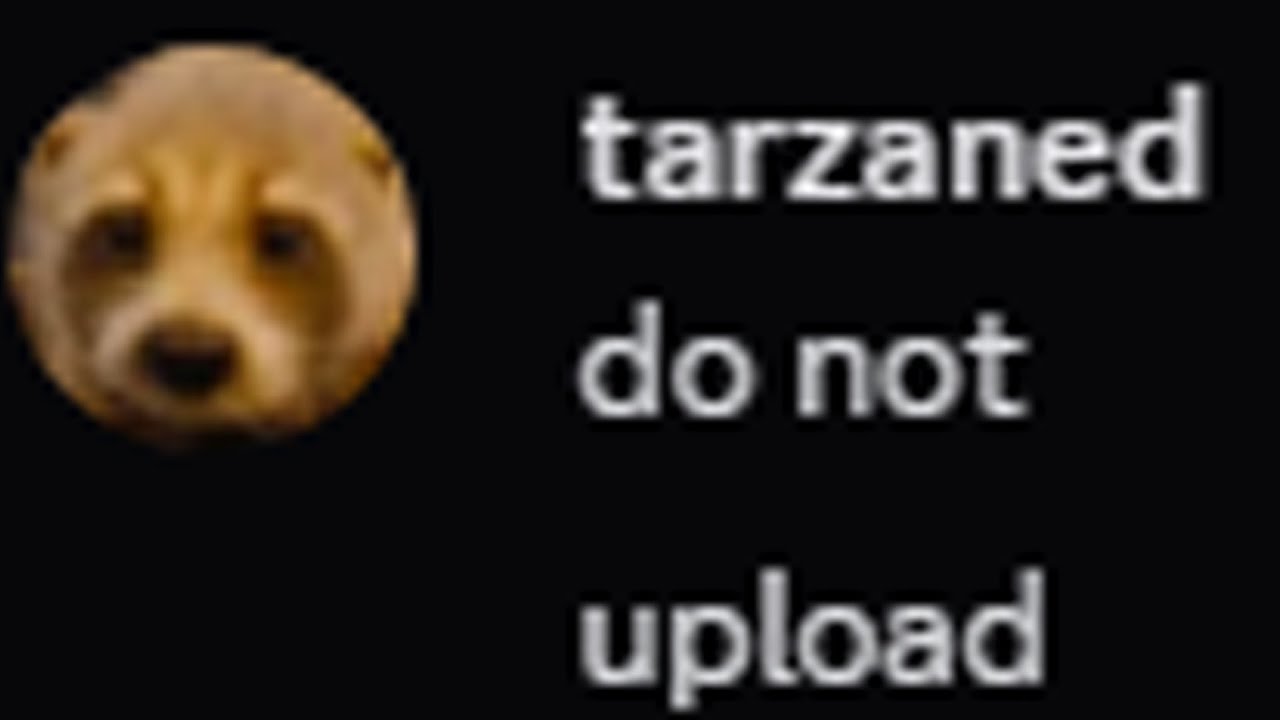 tarzaned has had enough of 1SHEN's Bingo