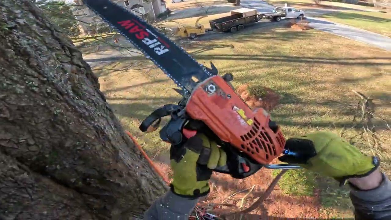 Removing oak tree next to house Pt.1 (RAW FOOTAGE)