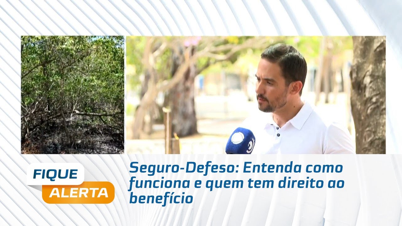 Seguro-Defeso: Entenda como funciona e quem tem direito ao benefício