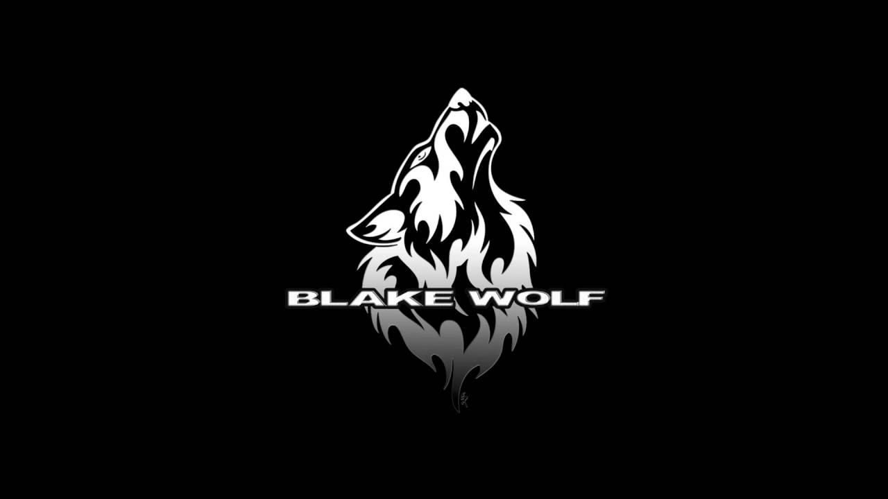 Blake Wolf - Noise [Original Mix]