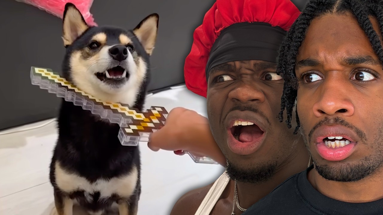 He Sacrificed His Dog..