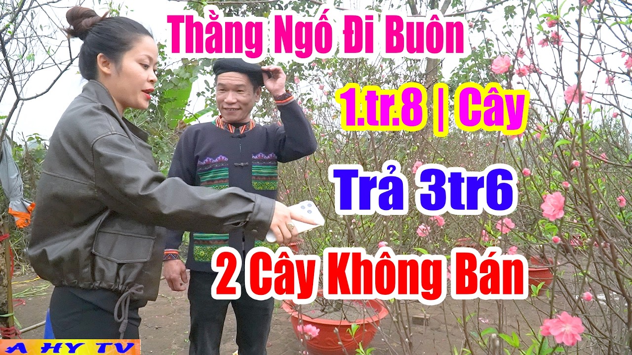 Thằng Ngố Đi Buôn Tập 1 - Hài Tết A Hy 2026 Mới Nhất Cười Vỡ Mồm