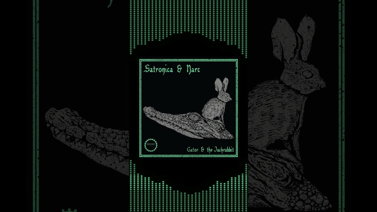 Satronica & Narc - Gator #gabber #techno