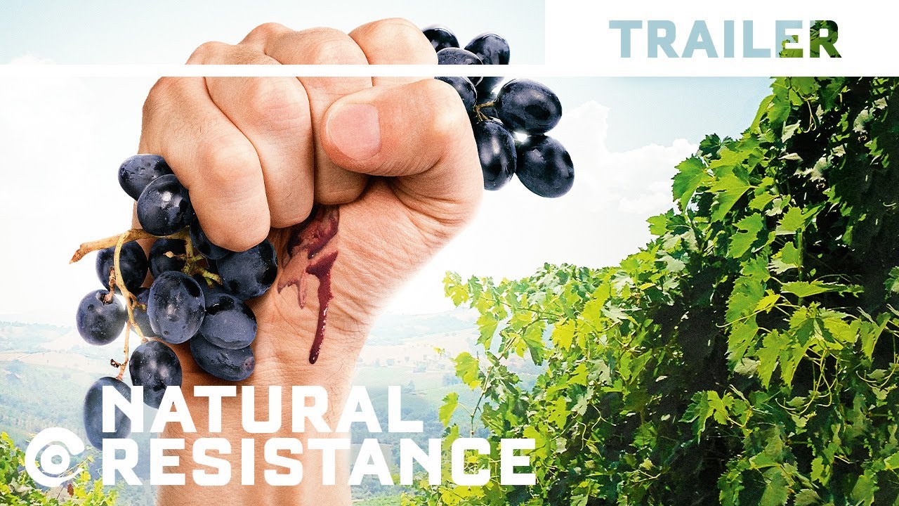 NATURAL RESISTANCE by Jonathan Nossiter (2014) - Official International Trailer