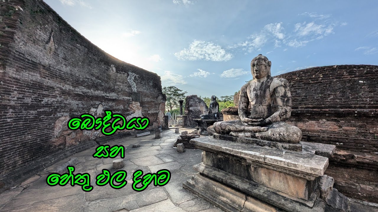 බෞද්ධයා සහ හේතු ඵල දහම