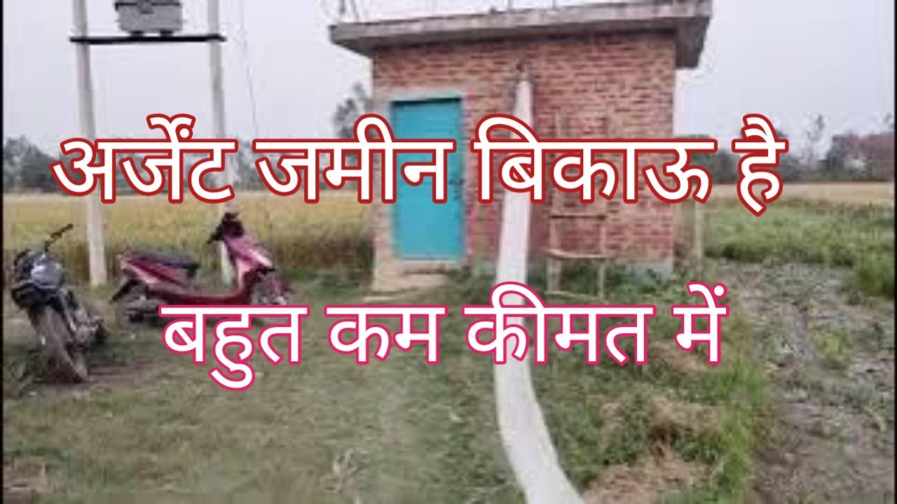 90.बिघा की जमीन बिकाऊ है 1 लाख 20 हजार रुपए प्रति बिघा है agriculture land for sale bikau Jameen 