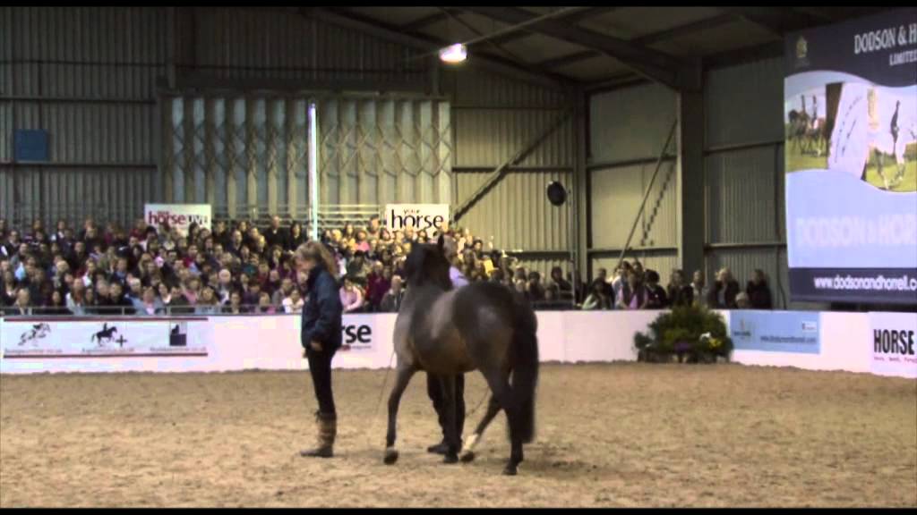 Richard Maxwell at Your Horse Live 2010 - Part 2