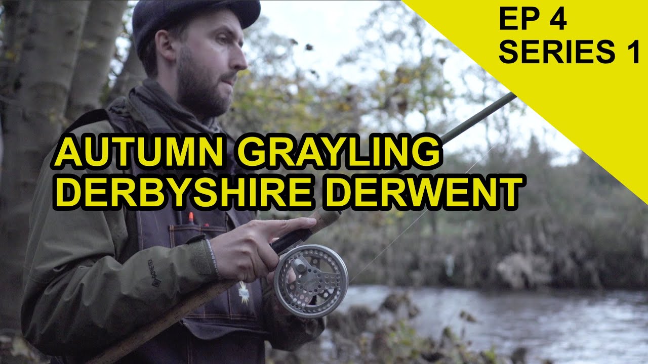 Derbyshire Grayling: Species Hunt  (EPISODE 4)