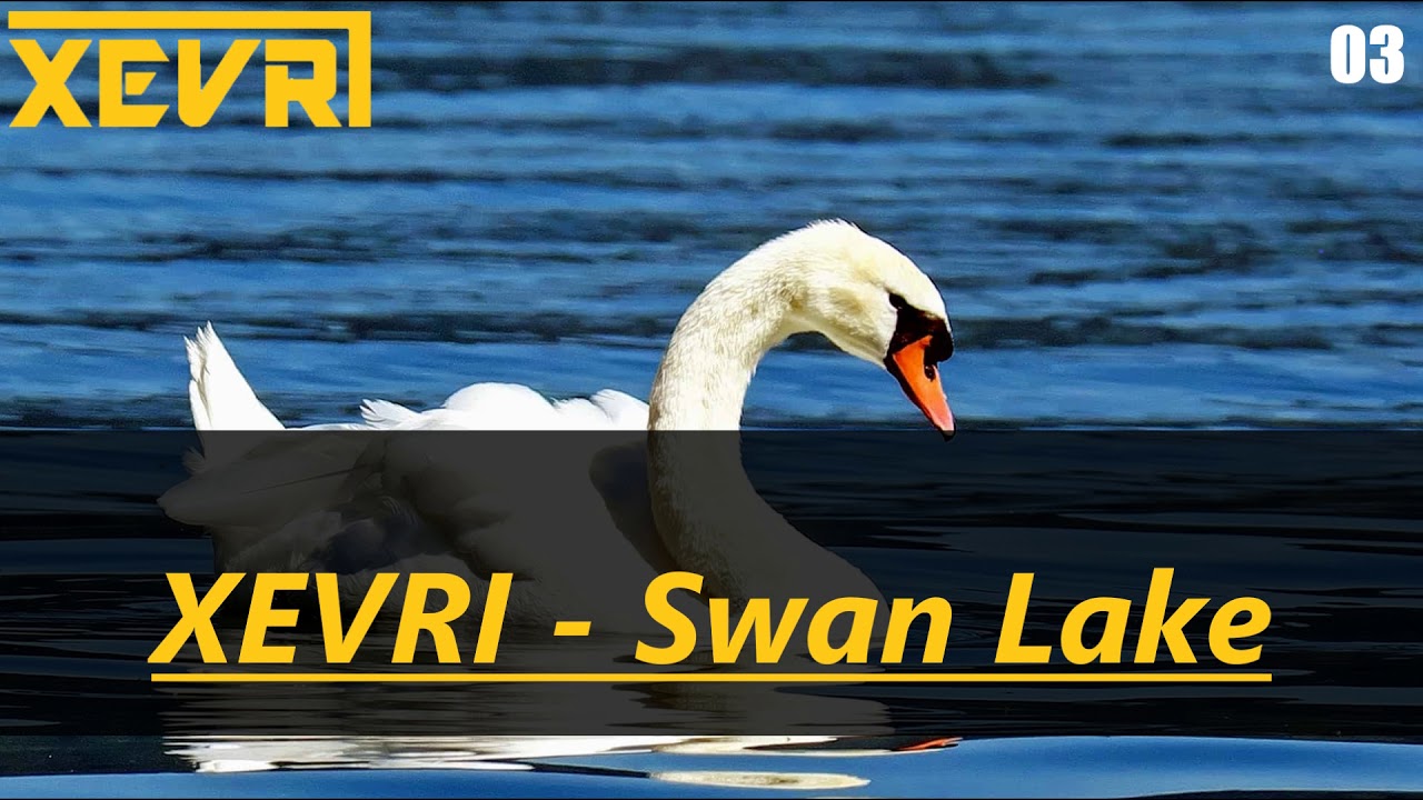 Tchaikovsky  - Swan Lake (XEVRI  Hardstyle Remix)
