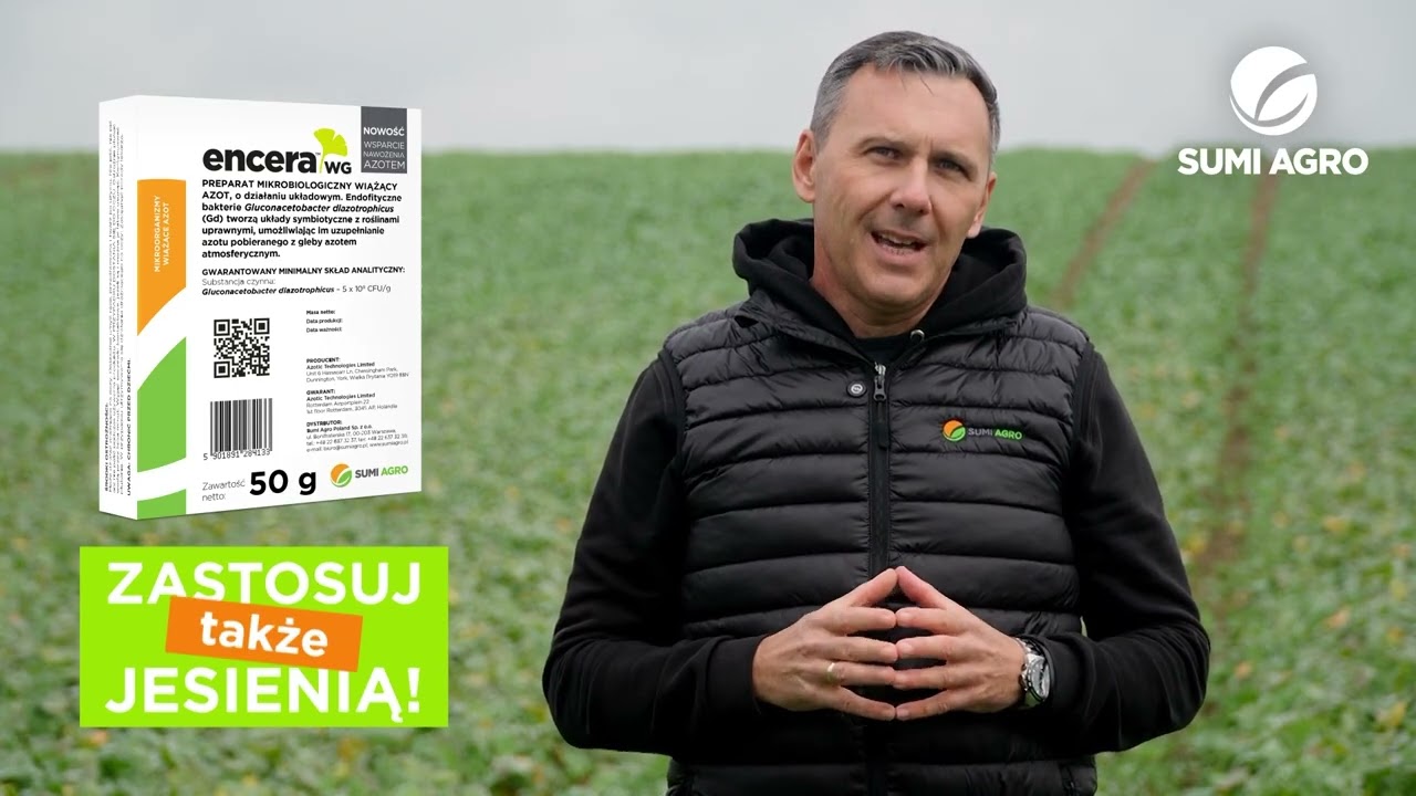 Jesienne nawożenie rzepaku azotem – dlaczego warto postawić na bakterie azotowe?