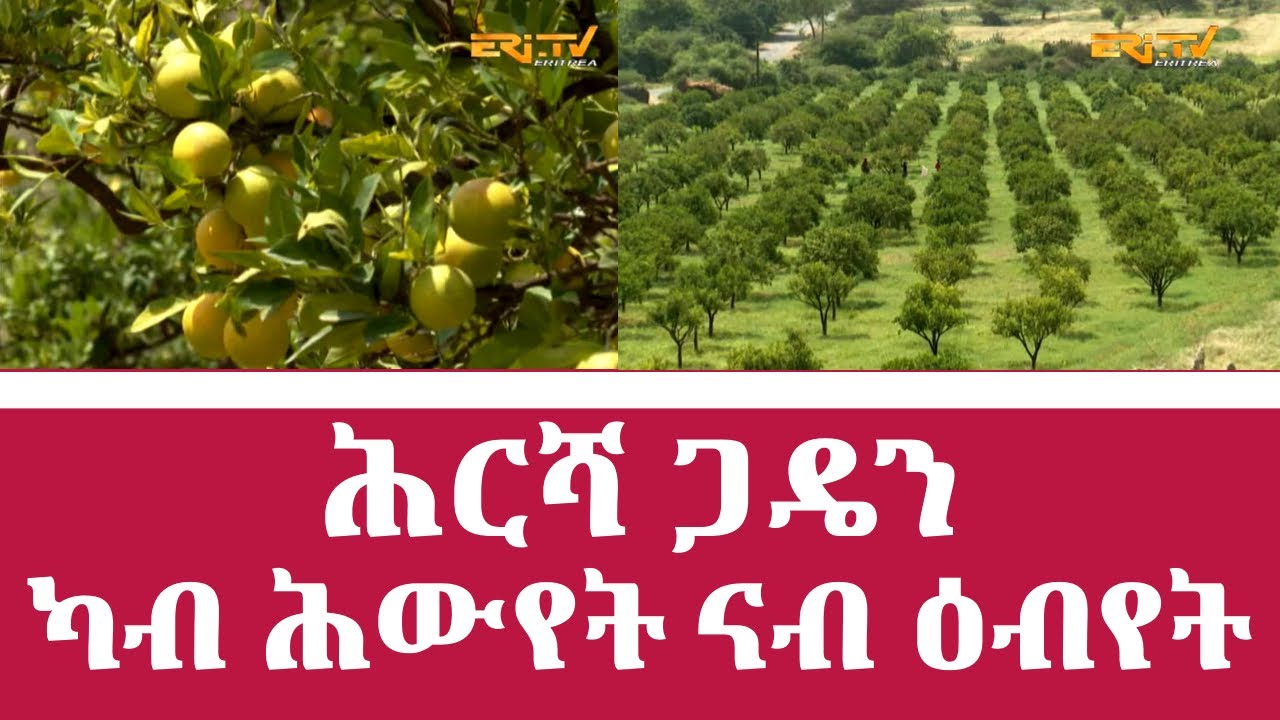 መኣዝን ልምዓት፡ ሕርሻ ጋዴን - ካብ ሕውየት ናብ ዕብየት - ERi-TV