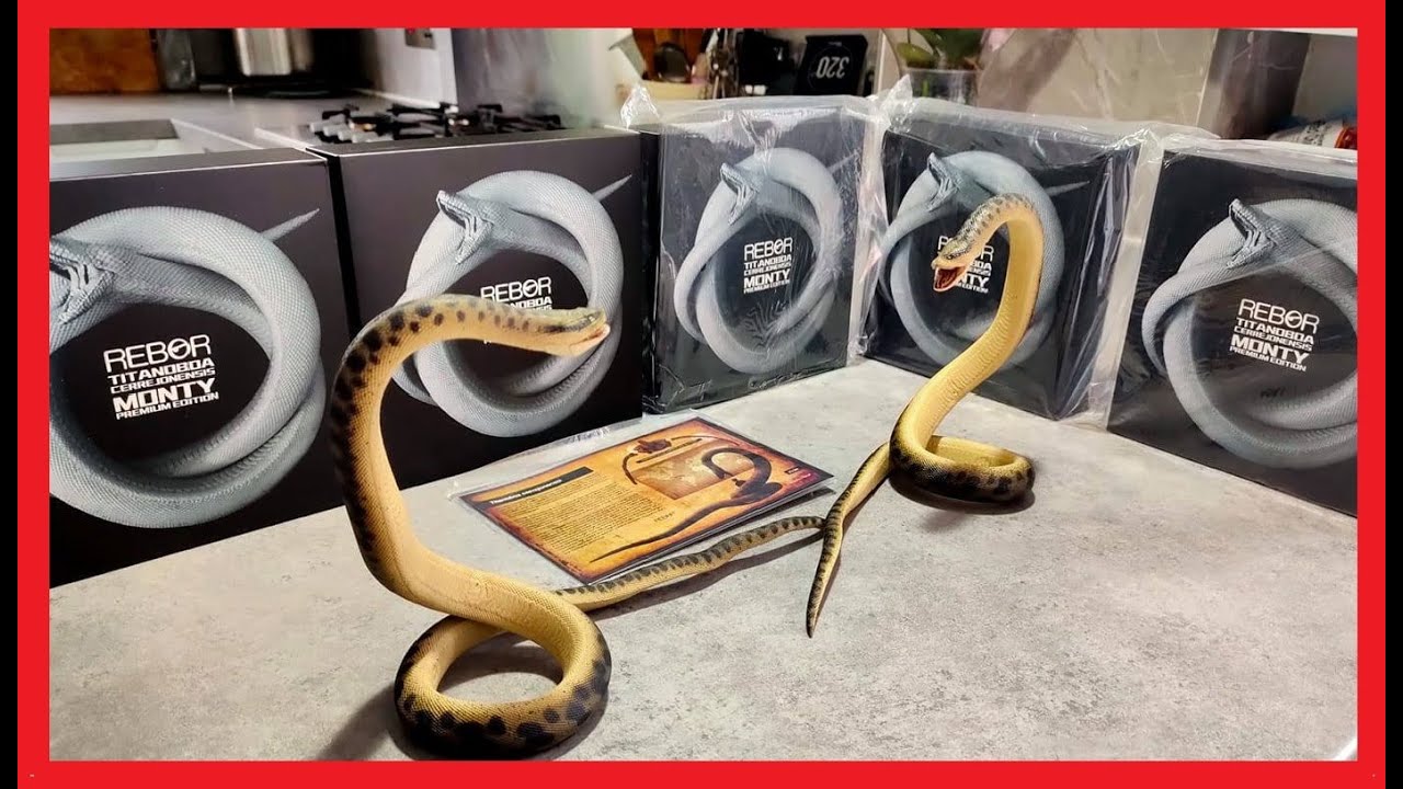 Rebor Titanoboa ' MONTY ' Premium Edition - Should you have one ?