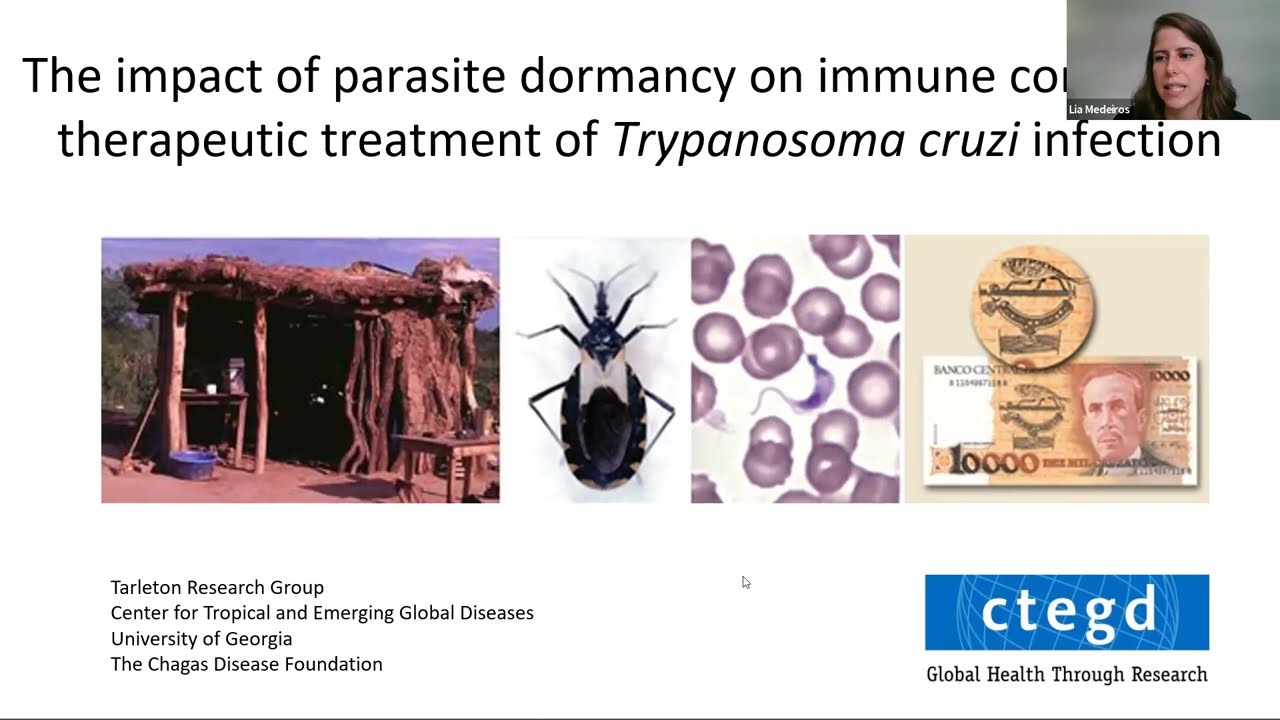 PPGBB: Impact of Parasite Dormancy on Immune Control and Treatment of Trypanosoma Infection
