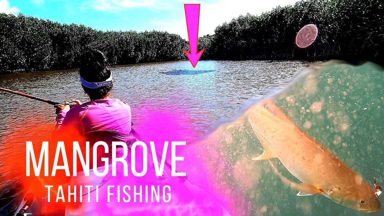 On PêCHE  la MANGROVE a TAHITI en KAYAK !!! ca CHANGE de DéLIRE !