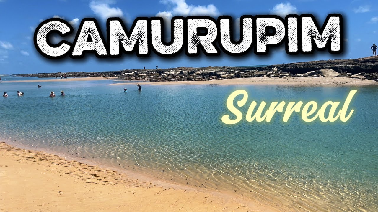 Conheça a MELHOR PRAIA do RN com piscinas naturais + Maior Cajoeiro do MUNDO! 