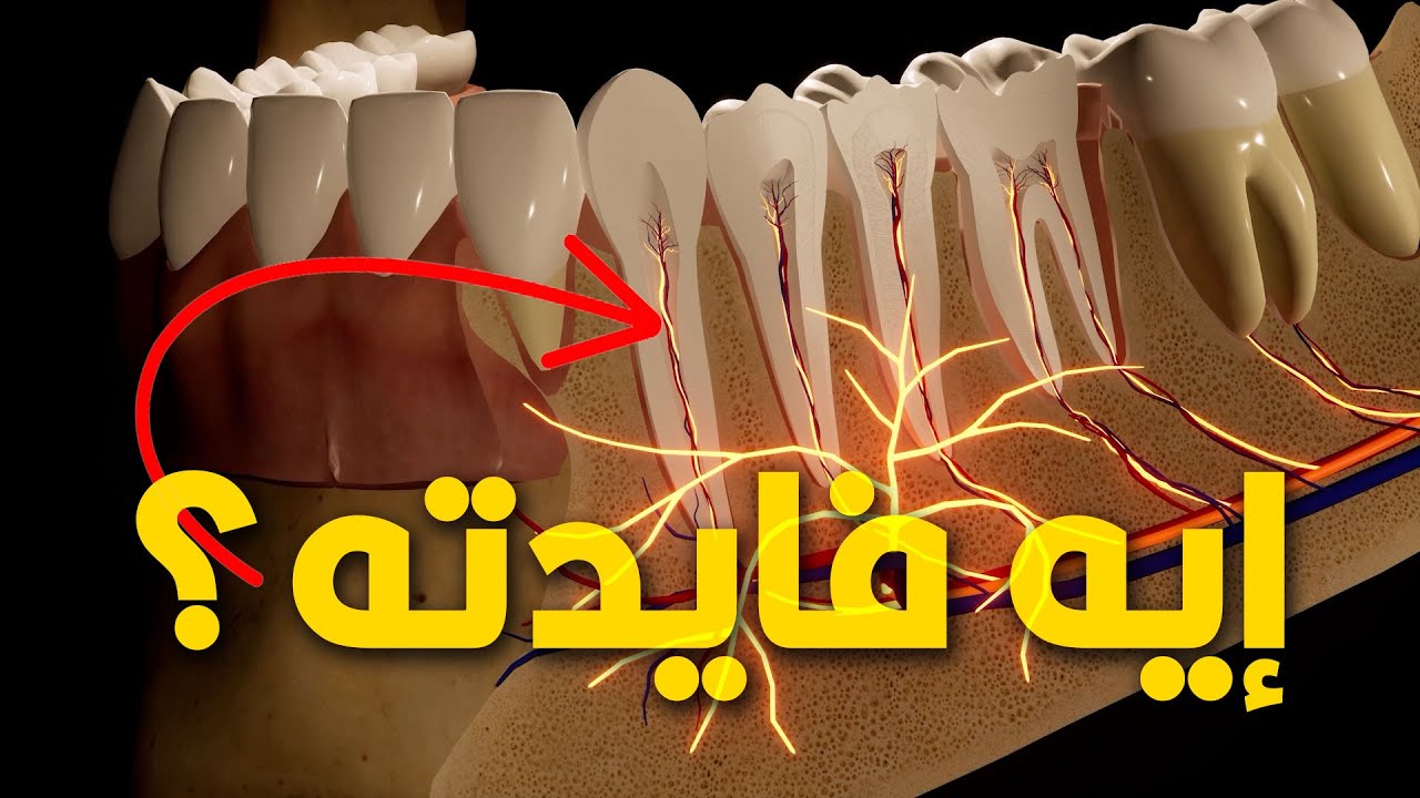 إيه فايدة عصب الأسنان؟ وإزاي عادي إننا نموته؟