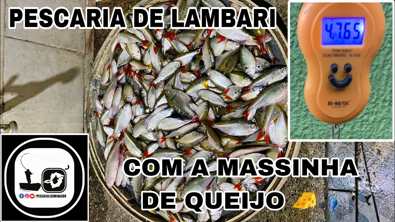 PARTE 2 - PESCARIA DE LAMBARI COM A MASSINHA DE QUEIJO RALADO 🎣🧀