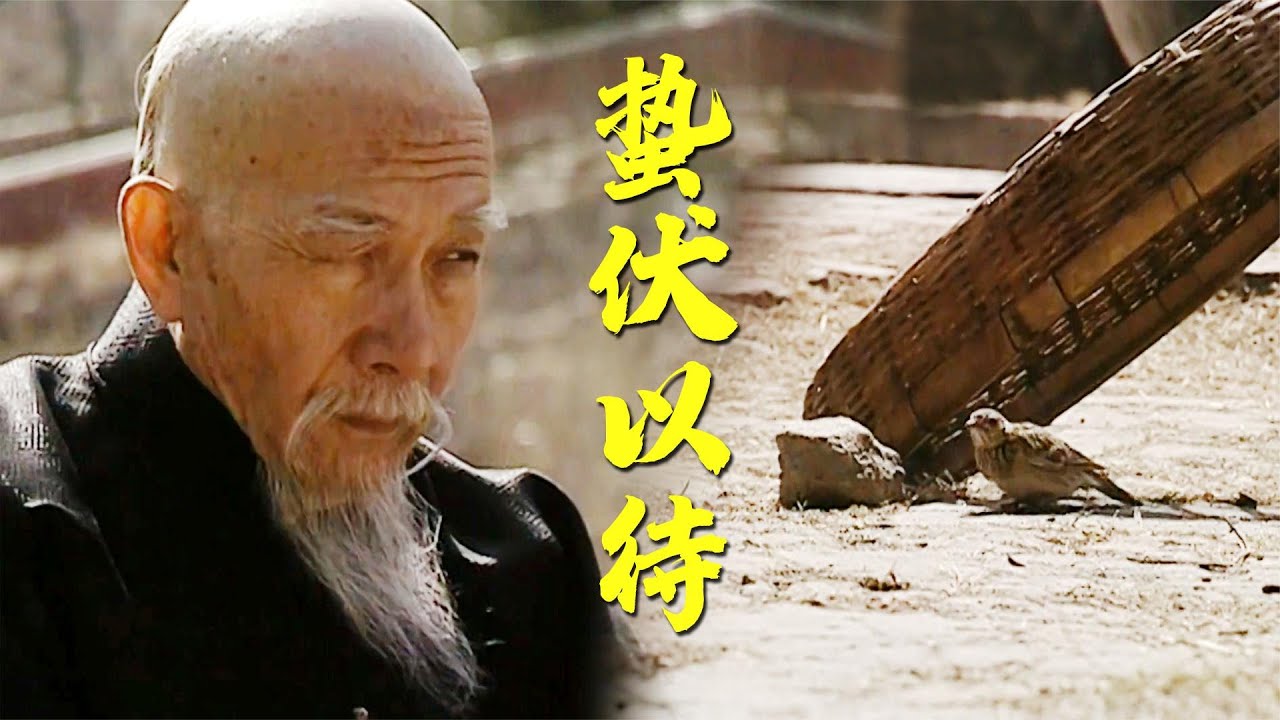 走向共和27：李鸿章跟红儿，用簸箕捕鸟这段，你看懂了吗