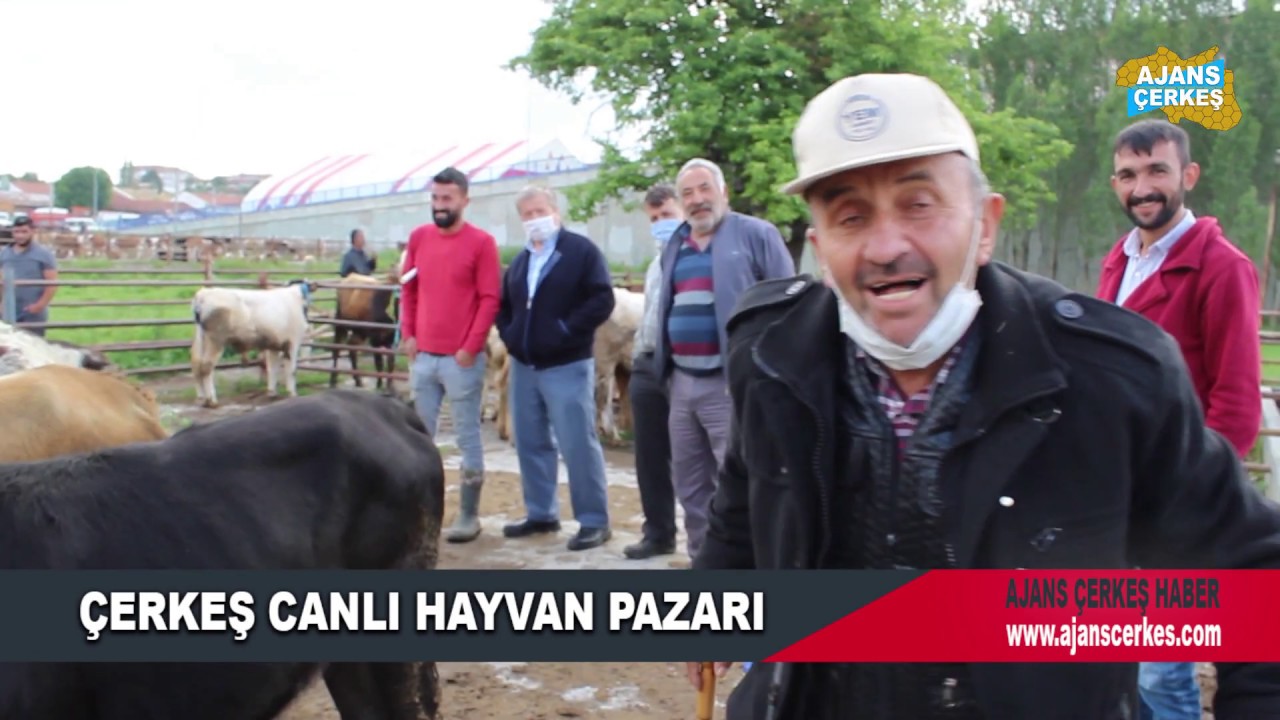 ÇERKEŞ CANLI HAYVAN PAZARI |2020