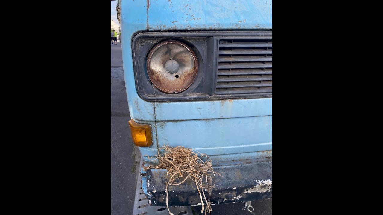VW T3 first start after 31 years of sleep, abandoned transporter story