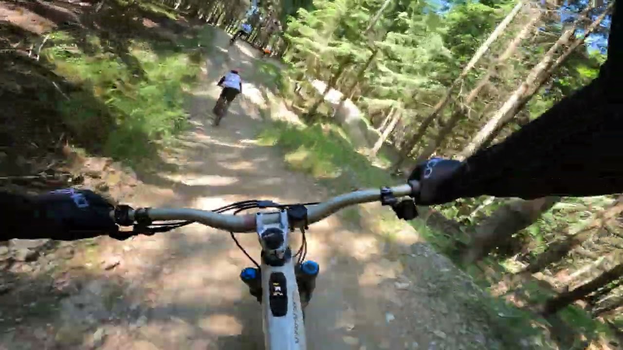 Cseuz Wexl Trails csapatride   Flow Trail