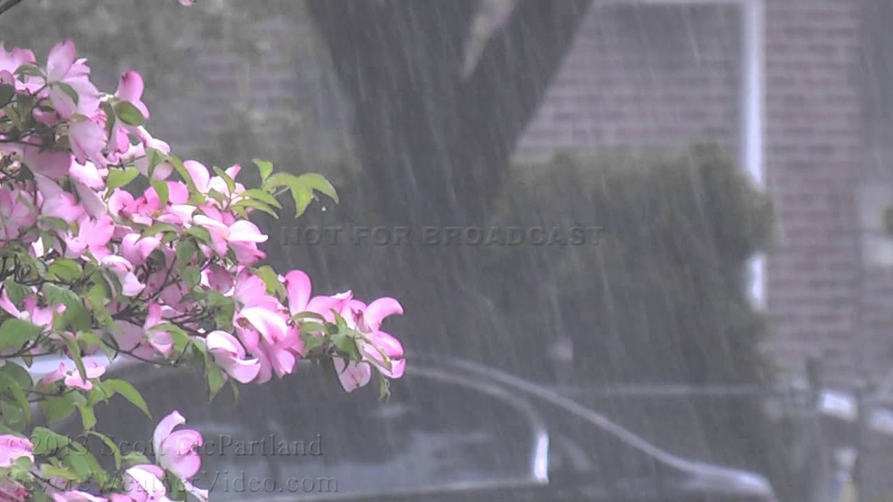 Queens, NY Thunderstorm & Torrential Rains 5.11.13
