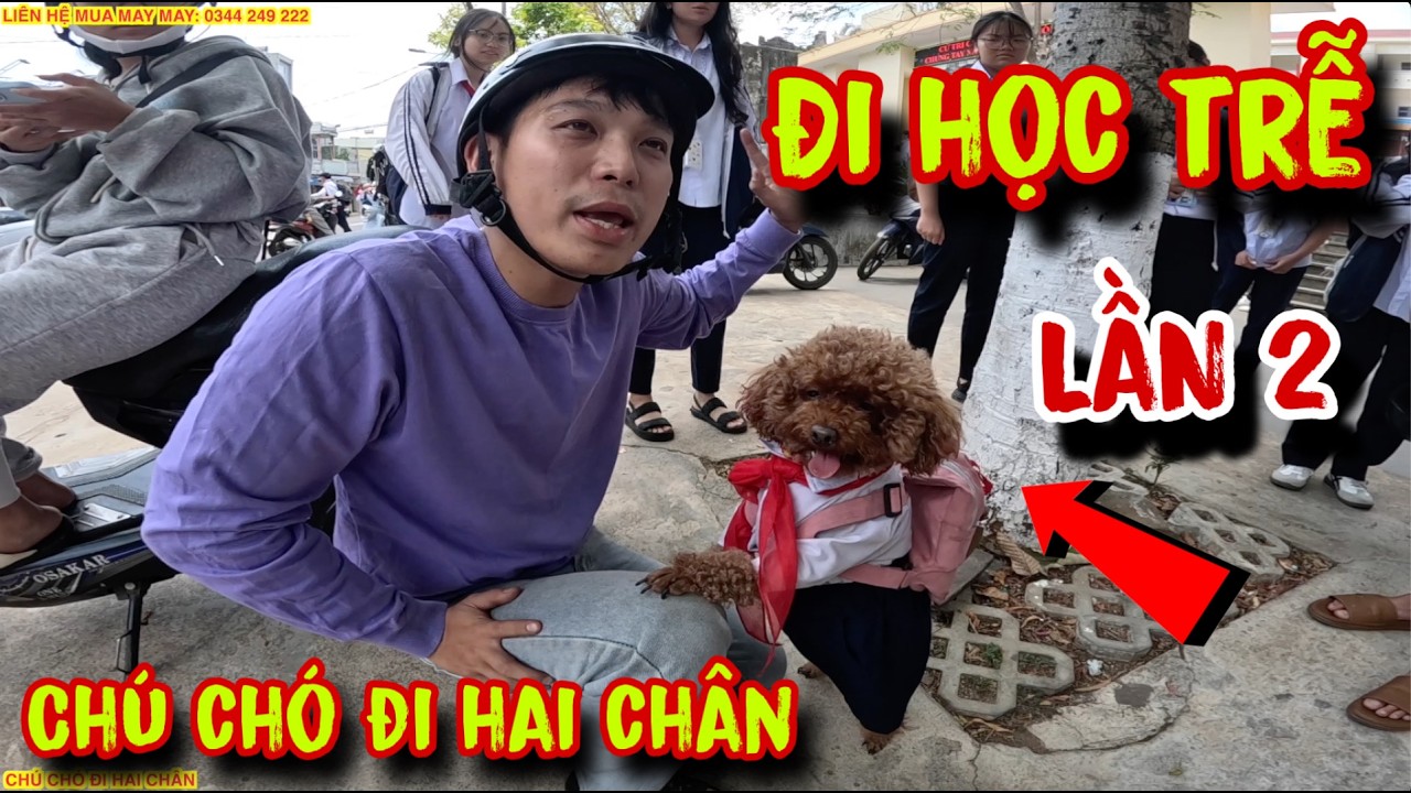 Tập 5: SU XÍ XỌN ĐI HỌC TRỄ LẦN THỨ 2 TRONG TUẦN | CHÚ CHÓ ĐI HAI CHÂN