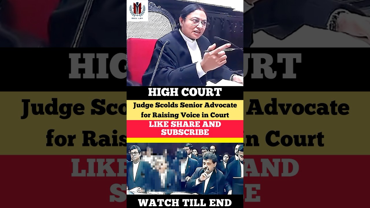 Judge Scolds Senior Advocate for raising his voice in court #judge #highcourt #advocate #shortvideo