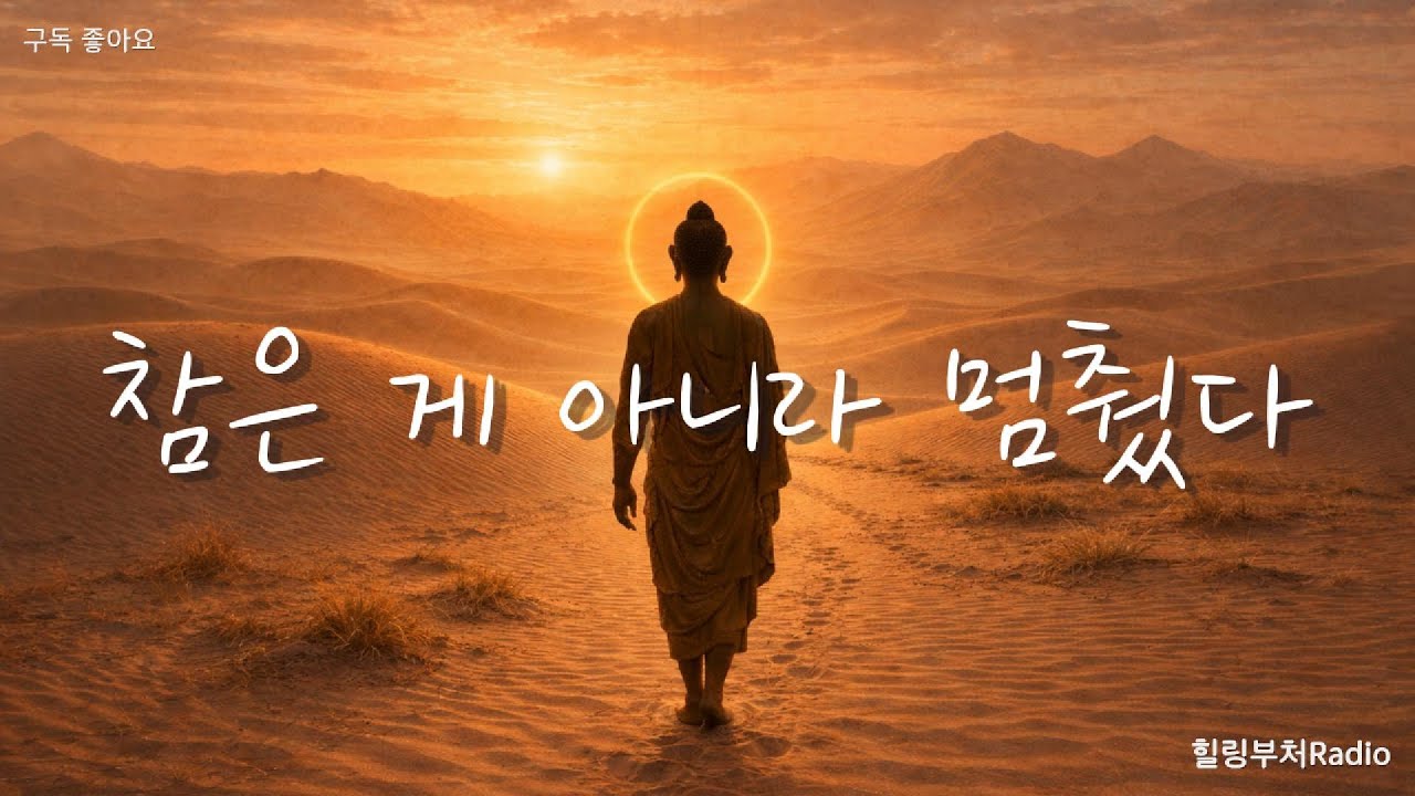 화를 참은 게 아니라 멈췄어요 #부처님 #부처님말씀 #감정 #명상 #힐링 #치유명상 #buddha #radio #마음 #healing #감정 #feeling #치유 #자존심 #화