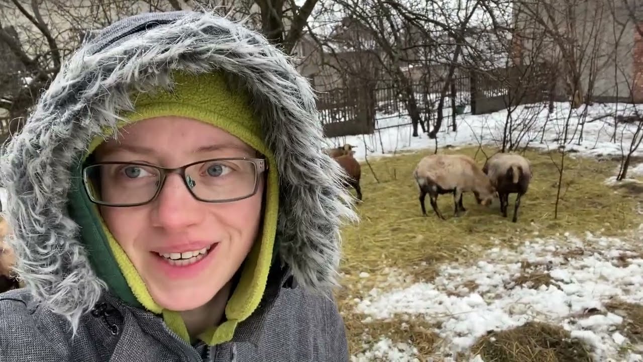 21. Nowy rok, nowe stado!