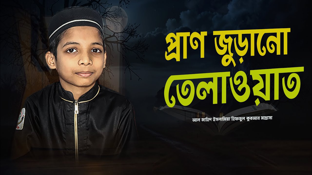প্রাণ জুড়ানো তেলাওয়াত | Heart Touching Quran Recitation