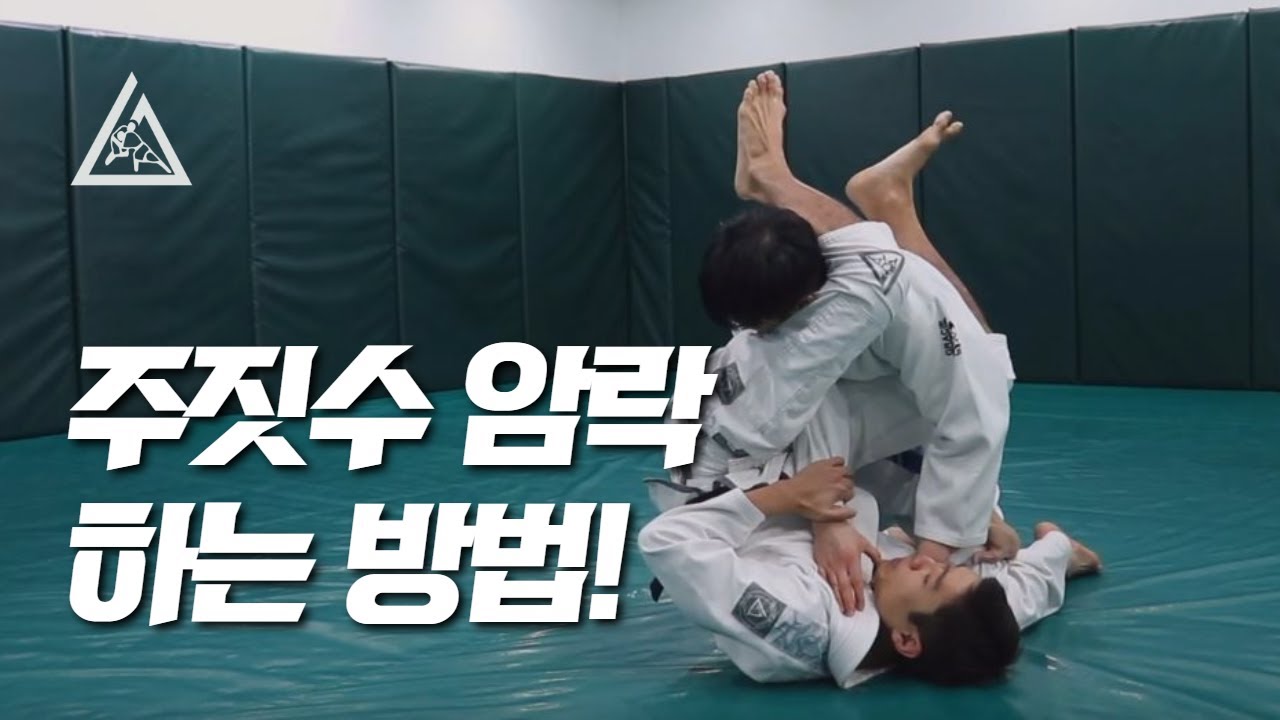 그레이시 주짓수 기본기, 