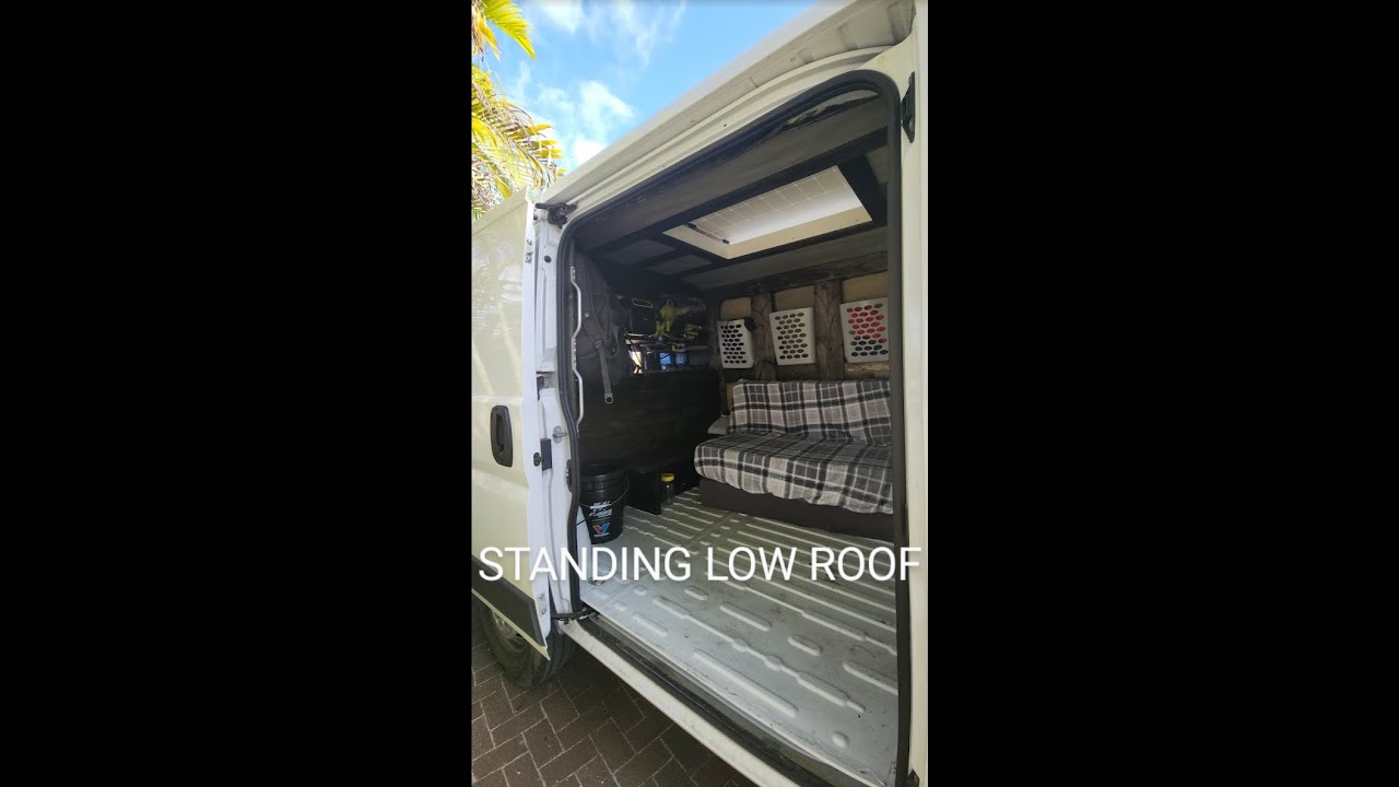 New van . Custom Promaster 118 Low roof I can stand in!