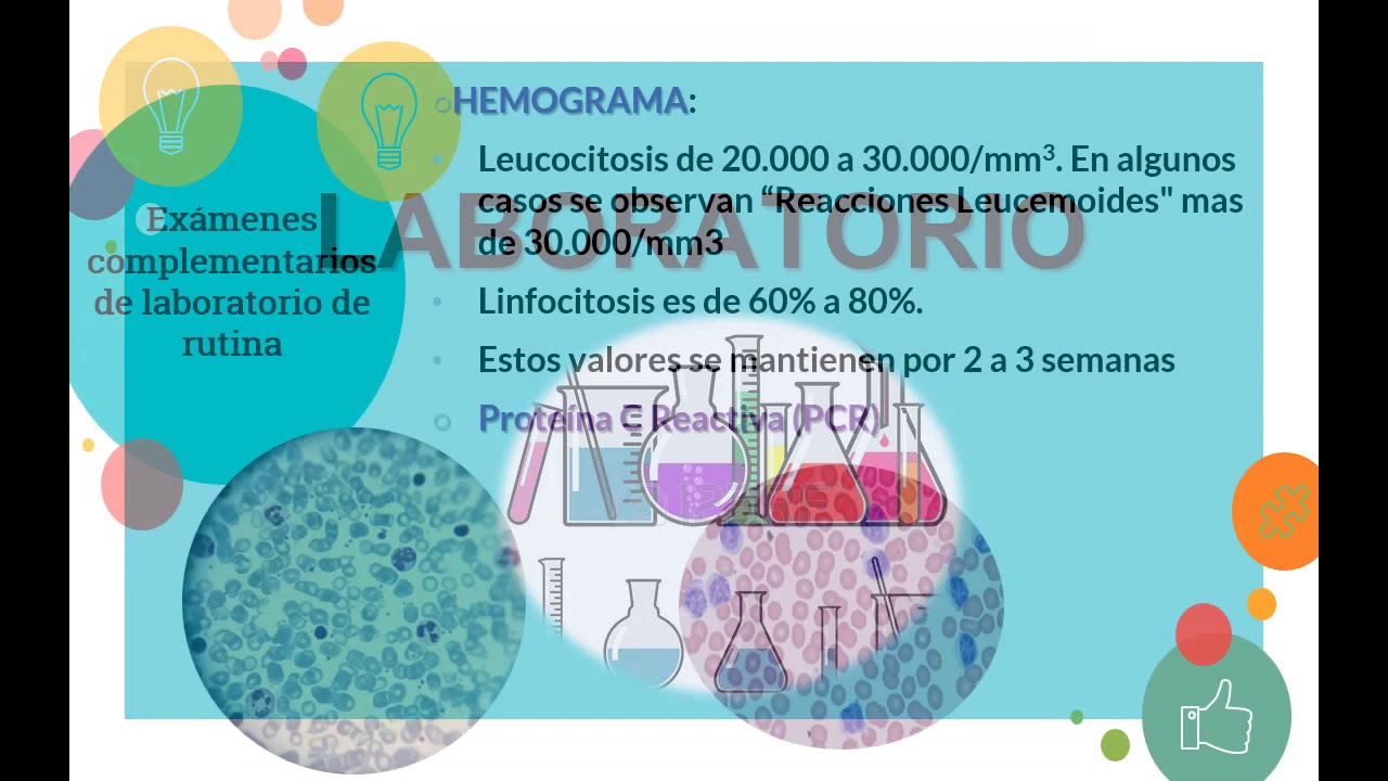 2017/10 - Bordetella pertussis