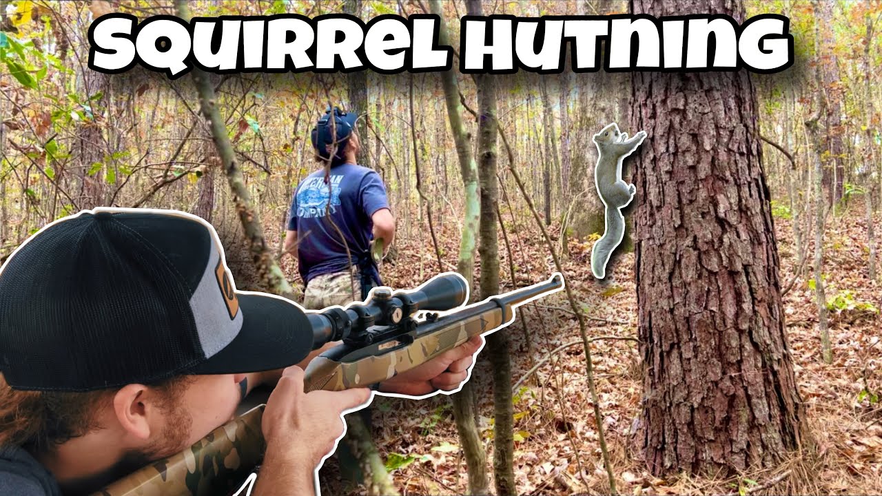 Охота на белок с .22LR