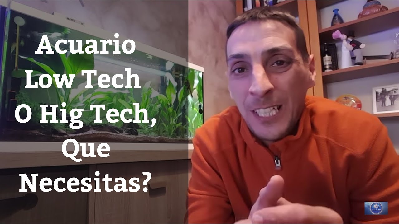 🔵 Acuario Low Tech o High Tech,Que Necesitas? (Acuarios MB)