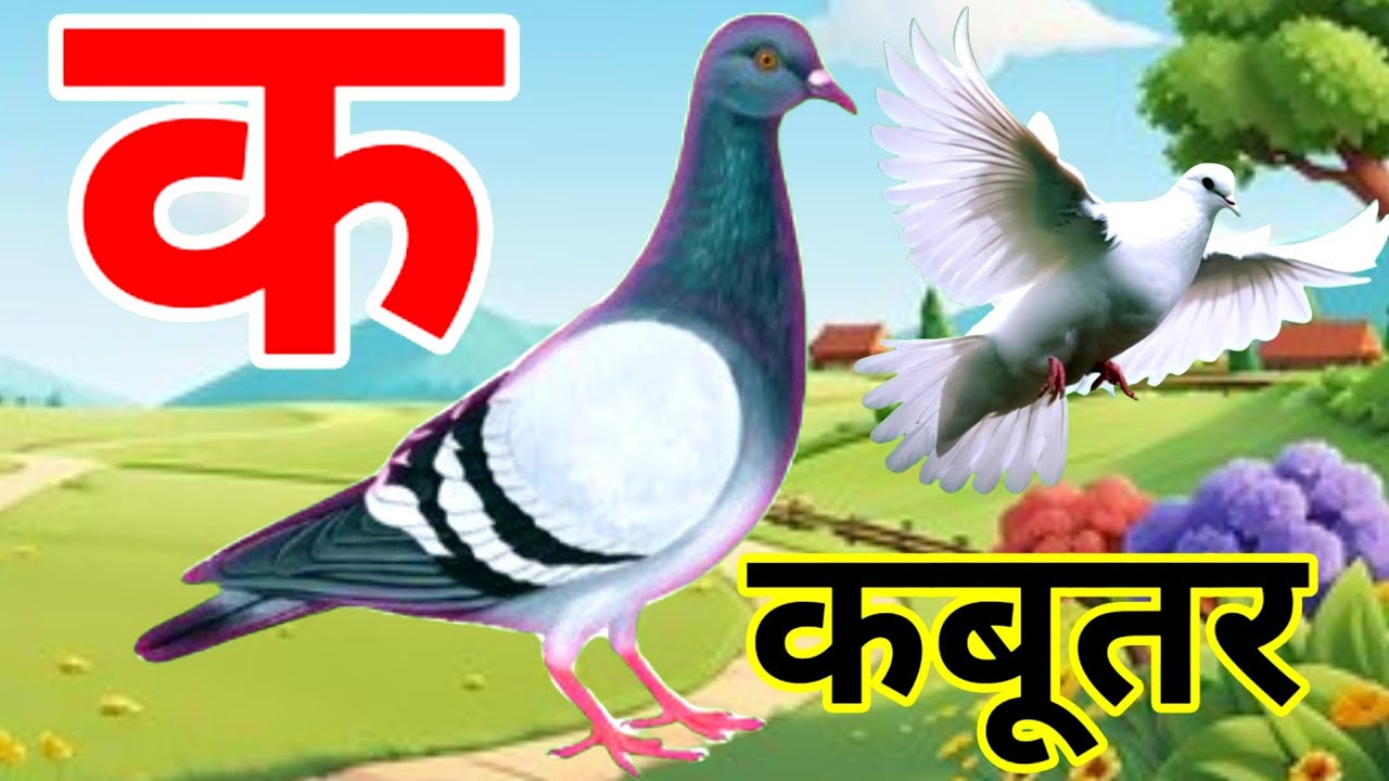 अ से अनार | आ से आम | a se anar | aa se aam | क से कबूतर | Ka se kabutar | स्वरब्यंजन #kasekabutar 