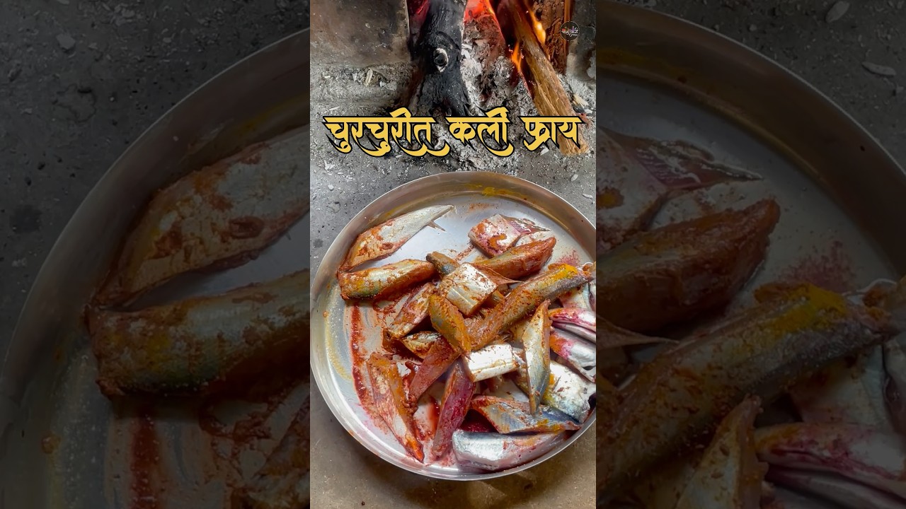 कर्ली खाणारो अस्सल मासेप्रेमी | Silver Bar Fish Malvani Style | Kokam Aagal Special Fish Fry #shorts