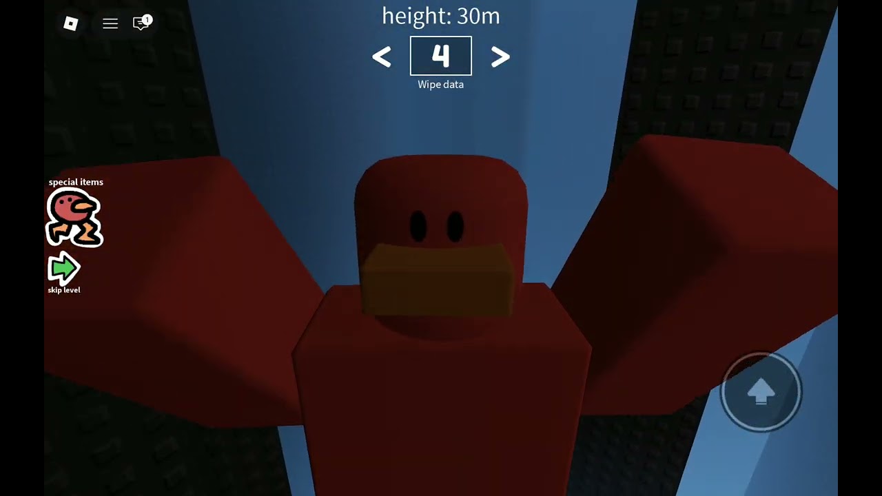 LOOK A BIRD pt1