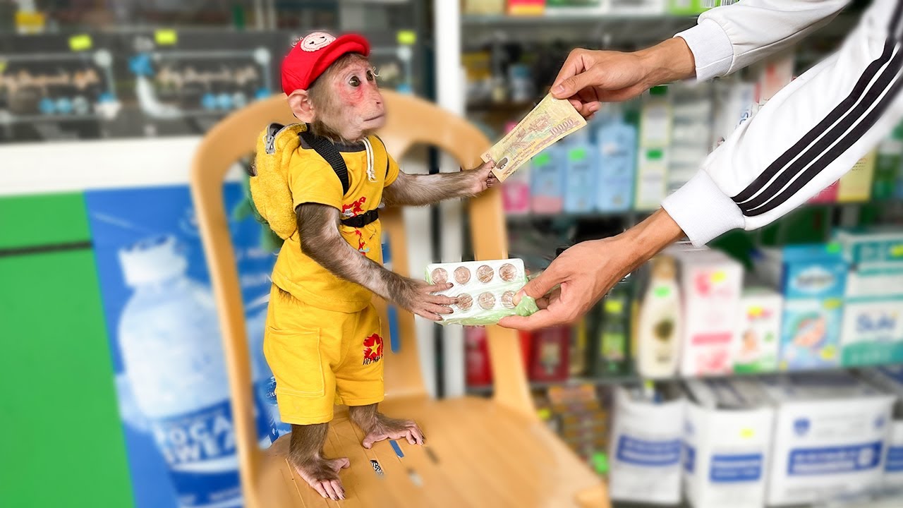 Cubis Monkey Buys Medicine for Sick Dad! ❤️🐒