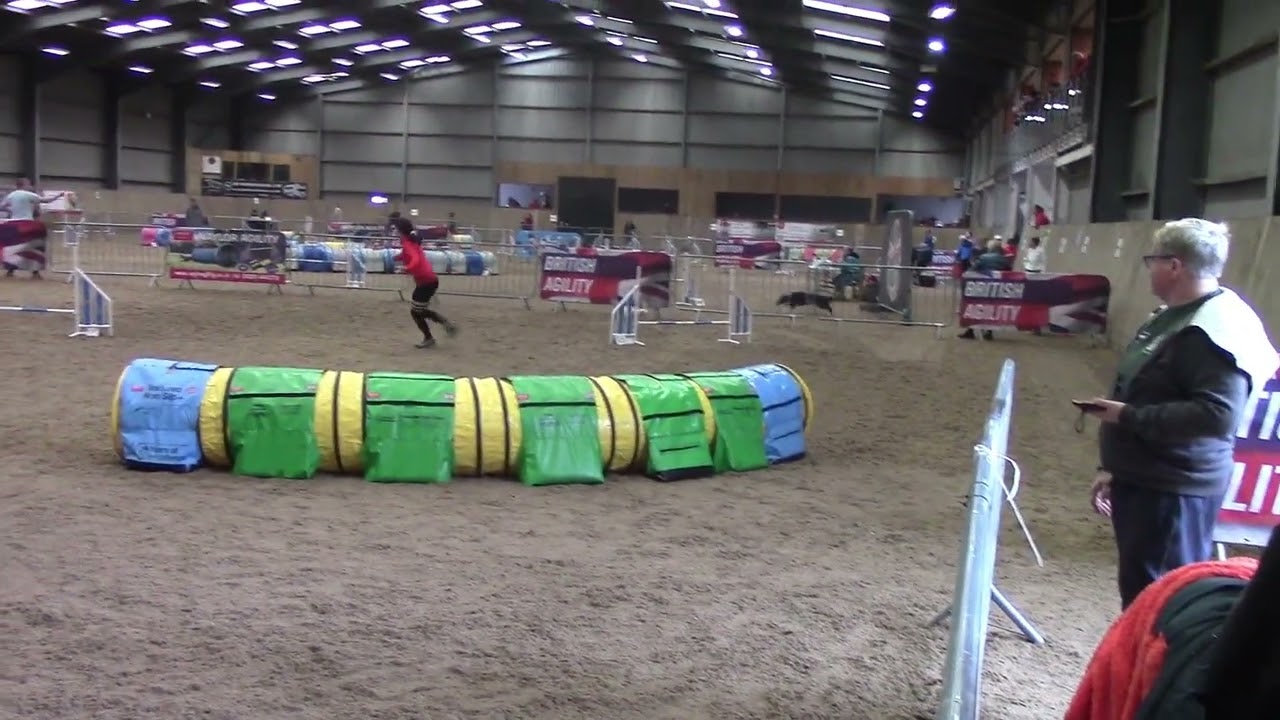 British Agility Championships 2024, Novice Stakes Champion