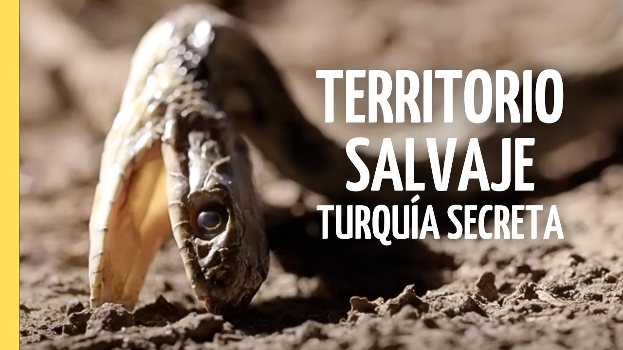 Los Secretos Naturales de Turquía: Un Viaje Entre Montañas y Mar Cristalino | Episodio Completo