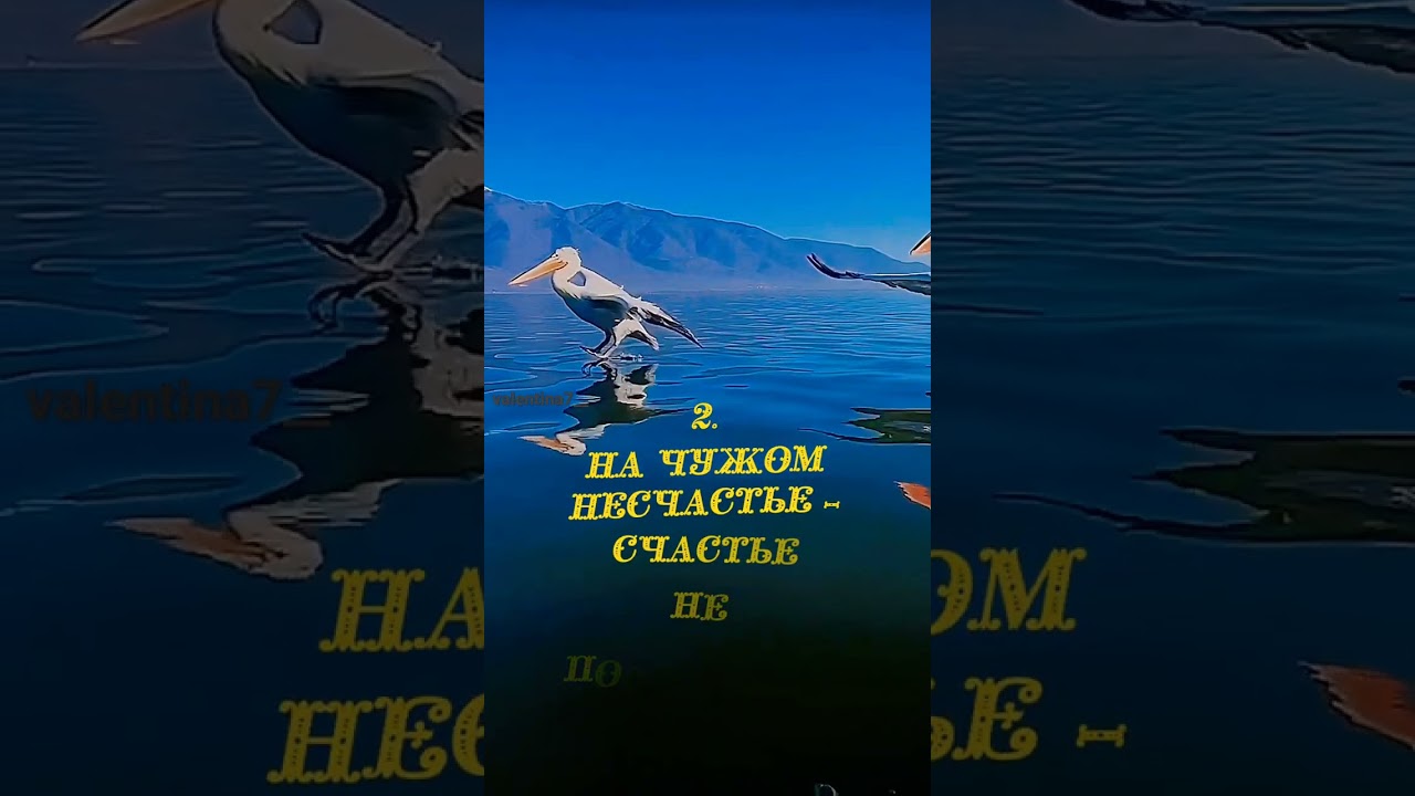 20 августа 2022 г.
