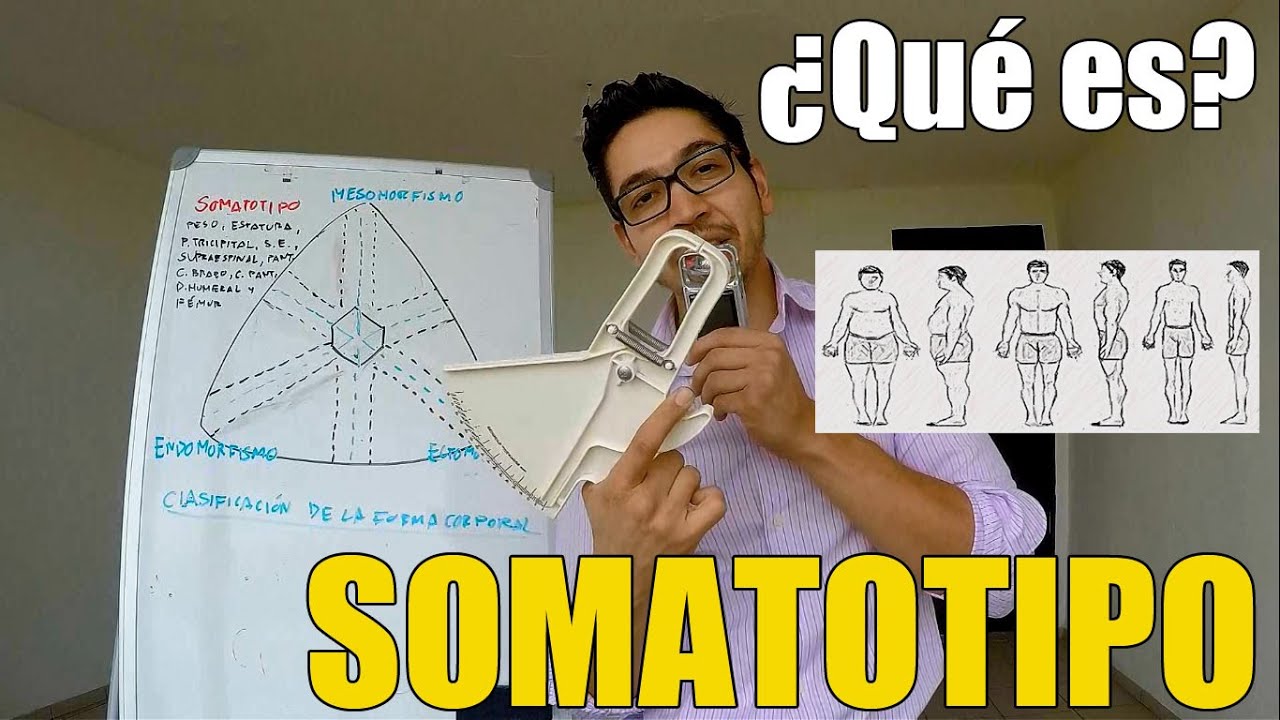 SOMATOTIPO: Lo Que Debes Saber
